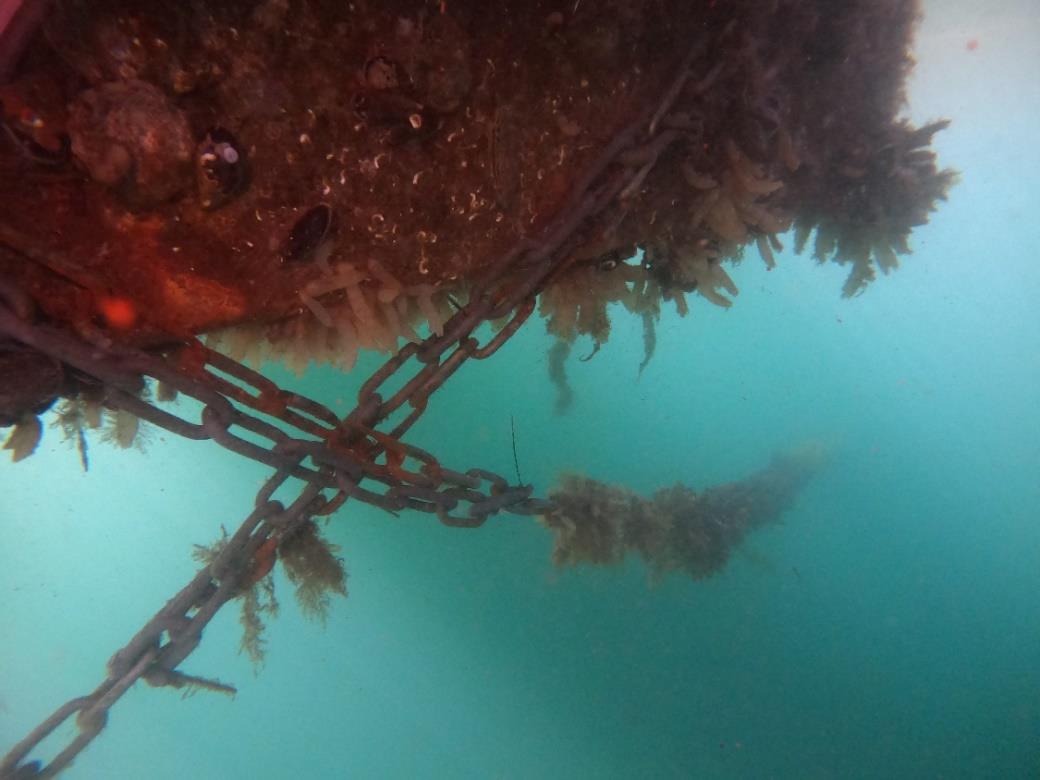 Artikkelbilde til artikkelen Dykkerrapport og utførte utbedringer